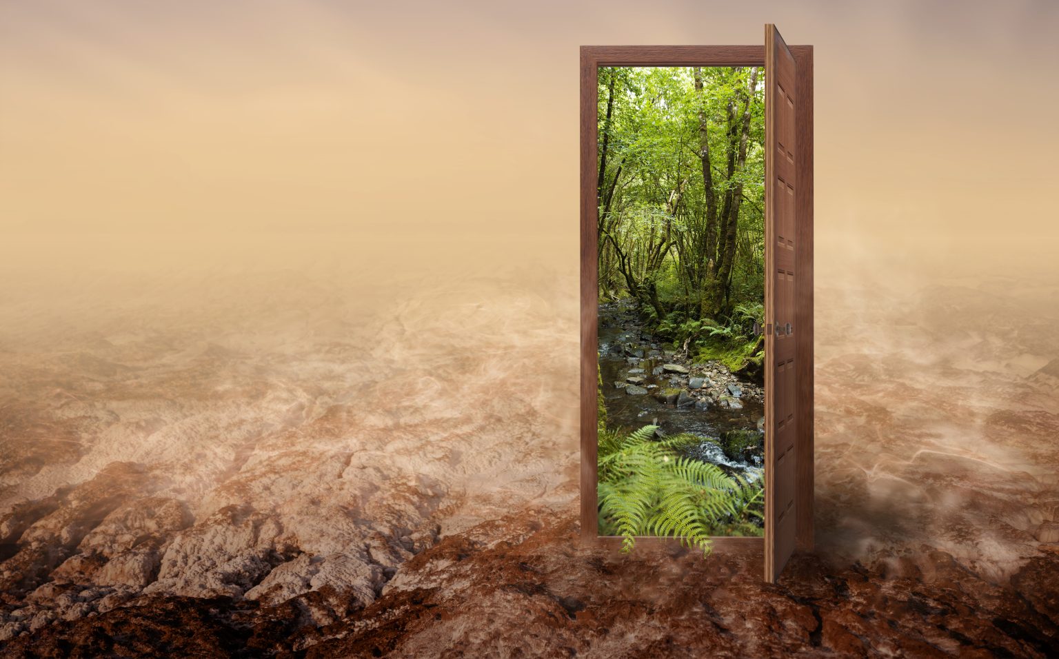 door-opening-new-world-composition (1)